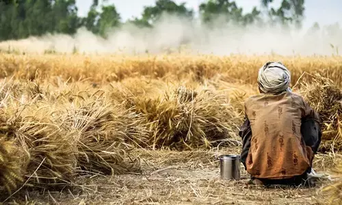 ಮಹಾರಾಷ್ಟ್ರ: ಮರಾಠಾವಾಡದಲ್ಲಿ 6 ತಿಂಗಳಲ್ಲಿ 483 ರೈತರ ಆತ್ಮಹತ್ಯೆ