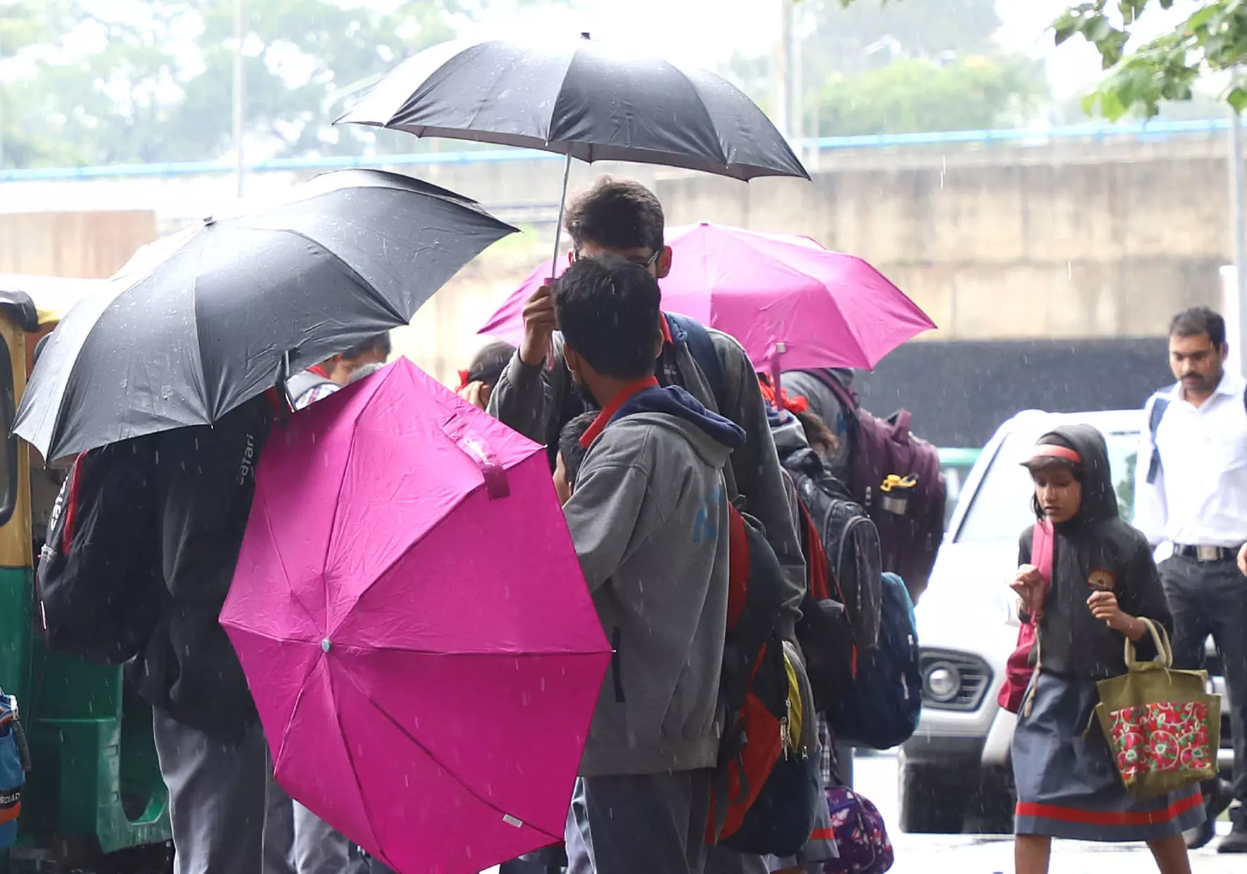 ನಾಳೆ (ಜು.26) ಕೊಡಗು ಜಿಲ್ಲಾದ್ಯಂತ ಶಾಲೆ, ಪಿಯು ಕಾಲೇಜುಗಳಿಗೆ ರಜೆ: ಜಿಲ್ಲಾಧಿಕಾರಿ ನಾಳೆ (ಜು.26) ಕೊಡಗು ಜಿಲ್ಲಾದ್ಯಂತ ಶಾಲೆ, ಪಿಯು ಕಾಲೇಜುಗಳಿಗೆ ರಜೆ: ಜಿಲ್ಲಾಧಿಕಾರಿ