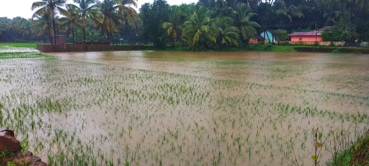 ಕುಂದಾಪುರ, ಬೈಂದೂರು ತಾಲೂಕಿನಲ್ಲಿ ಮುಂದುವರಿದ ಮಳೆ