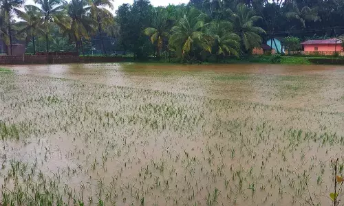 ಬಿಡುವು ಪಡೆದ ಮಳೆ; ಸಾಮಾನ್ಯ ಸ್ಥಿತಿಯತ್ತ ಜನರ ಬದುಕು