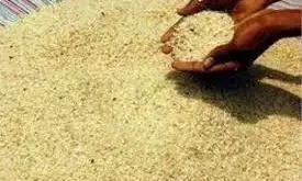 ದೇವರಿಗೆ ಕೇಜಿಗಟ್ಟಲೆ ಚಿನ್ನ ಕೊಡುವ ನ್ಯೂ ಇಂಡಿಯಾದಲ್ಲಿ ಪಾಪಚ್ಚಿಗೆ ಜಾಗವಿಲ್ಲ