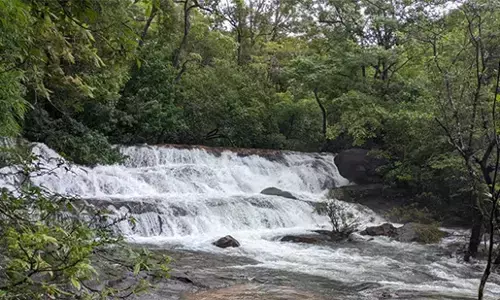 ಕುದುರೆಮುಖ ವನ್ಯ ಜೀವಿ ವಿಭಾಗ ವ್ಯಾಪ್ತಿಯ ಜಲಪಾತಗಳ ವೀಕ್ಷಣೆಗೆ ಪ್ರವಾಸಿಗರಿಗೆ ನಿರ್ಬಂಧ