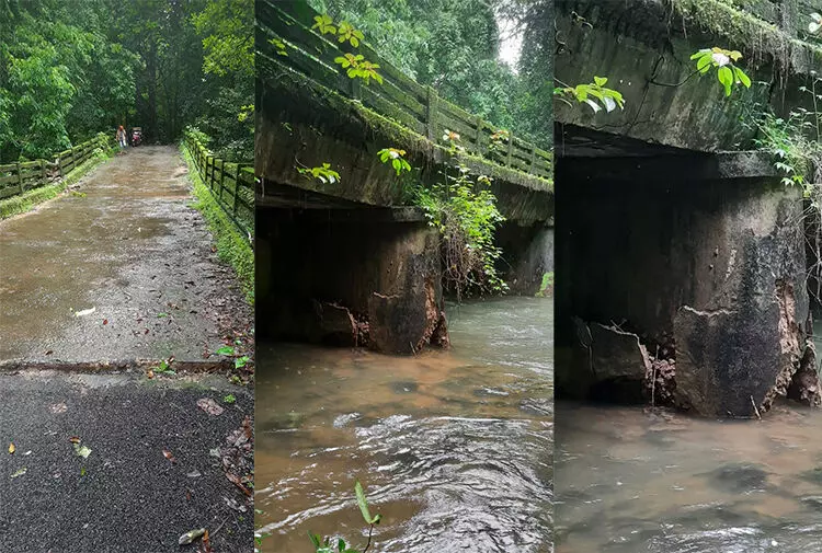 ಬೆಳ್ತಂಗಡಿ: ಕುತ್ಲೂರು ಕಾಡಬಾಗಿಲು ಸೇತುವೆ ಕುಸಿತ: ಸಂಕಷ್ಟದಲ್ಲಿ ಅರಣ್ಯವಾಸಿಗಳು ಬೆಳ್ತಂಗಡಿ: ಕುತ್ಲೂರು ಕಾಡಬಾಗಿಲು ಸೇತುವೆ ಕುಸಿತ: ಸಂಕಷ್ಟದಲ್ಲಿ ಅರಣ್ಯವಾಸಿಗಳು