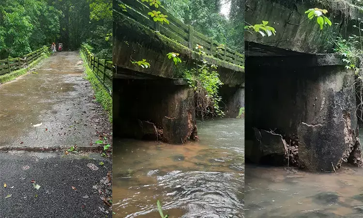 ಬೆಳ್ತಂಗಡಿ: ಕುತ್ಲೂರು ಕಾಡಬಾಗಿಲು ಸೇತುವೆ ಕುಸಿತ: ಸಂಕಷ್ಟದಲ್ಲಿ ಅರಣ್ಯವಾಸಿಗಳು