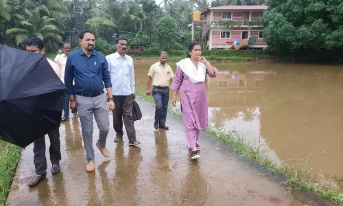 ದೂರವಾದ ಪ್ರವಾಹ ಭೀತಿ; ಬಾಧಿತ ಪ್ರದೇಶಗಳಿಗೆ ಡಿಸಿ ಭೇಟಿ