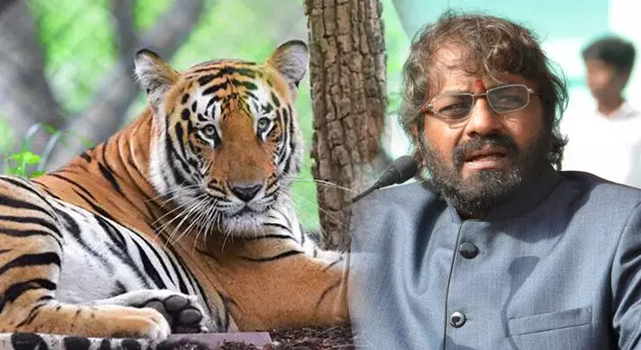 ರಾಜ್ಯದಲ್ಲಿ ಹುಲಿಗಳ ಸಂಖ್ಯೆ ಏರಿಕೆ; ಕ್ಯಾಮರಾ ಟ್ರ್ಯಾಪ್ ನಲ್ಲಿ ಈ ಬಾರಿ 435 ಹುಲಿಗಳು ಪತ್ತೆ: ಸಚಿವ ಈಶ್ವರ ಖಂಡ್ರೆ