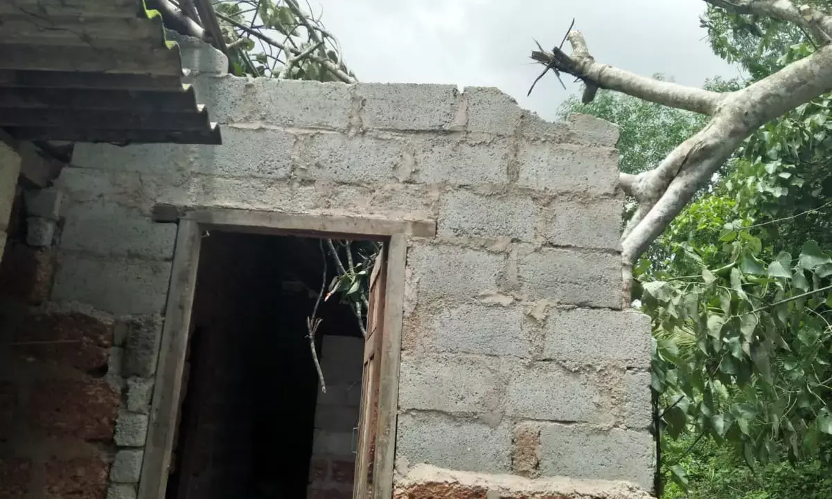 ರೆಂಜಲಾಡಿ: ಮರ ಬಿದ್ದು ಮನೆಗೆ ಹಾನಿ