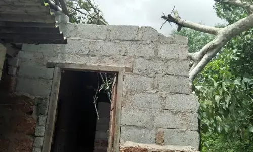 ರೆಂಜಲಾಡಿ: ಮರ ಬಿದ್ದು ಮನೆಗೆ ಹಾನಿ