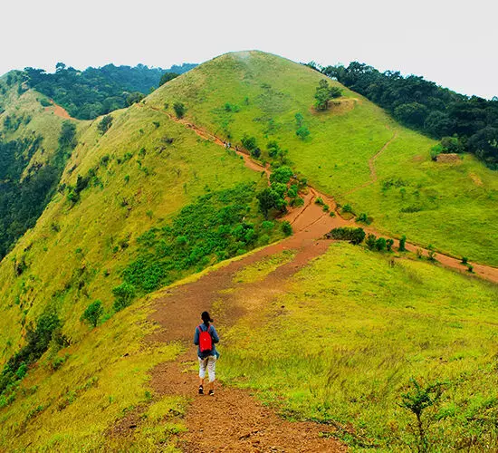 ಇಂದಿನಿಂದ ಕೊಡಚಾದ್ರಿಗೆ ಪ್ರವೇಶ ನಿಷೇಧ: ವನ್ಯಜೀವಿ ವಿಭಾಗ ಆದೇಶ ಇಂದಿನಿಂದ ಕೊಡಚಾದ್ರಿಗೆ ಪ್ರವೇಶ ನಿಷೇಧ: ವನ್ಯಜೀವಿ ವಿಭಾಗ ಆದೇಶ