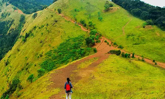 ಇಂದಿನಿಂದ ಕೊಡಚಾದ್ರಿಗೆ ಪ್ರವೇಶ ನಿಷೇಧ: ವನ್ಯಜೀವಿ ವಿಭಾಗ ಆದೇಶ