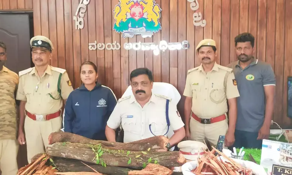 ಕುಂದಾಪುರ: ಶ್ರೀಗಂಧ ಮರದ ತುಂಡುಗಳು ಪೊಲೀಸ್‌ ವಶಕ್ಕೆ; ಆರೋಪಿಗಳಿಗೆ ಶೋಧ