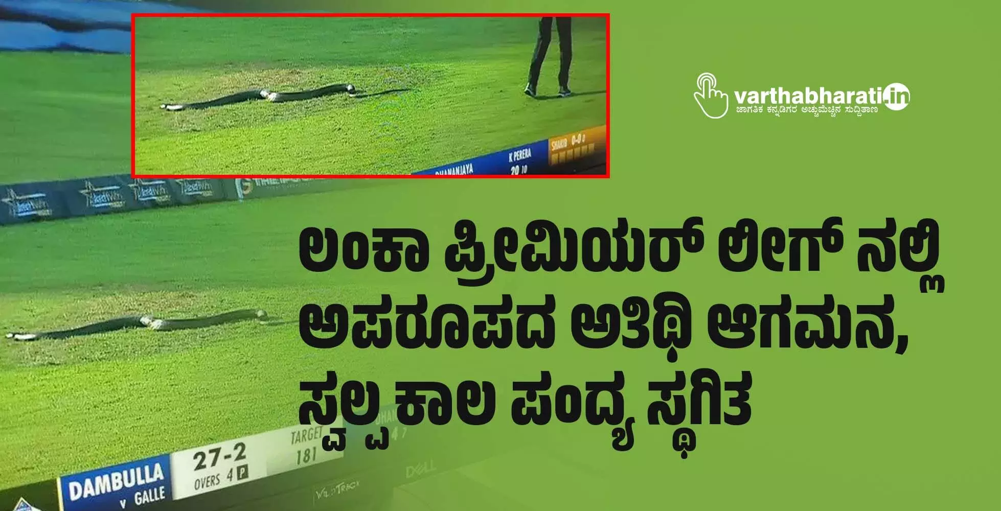 ಲಂಕಾ ಪ್ರೀಮಿಯರ್ ಲೀಗ್ ನಲ್ಲಿ ಅಪರೂಪದ ಅತಿಥಿ ಆಗಮನ, ಸ್ವಲ್ಪ ಕಾಲ ಪಂದ್ಯ ಸ್ಥಗಿತ ಲಂಕಾ ಪ್ರೀಮಿಯರ್ ಲೀಗ್ ನಲ್ಲಿ ಅಪರೂಪದ ಅತಿಥಿ ಆಗಮನ, ಸ್ವಲ್ಪ ಕಾಲ ಪಂದ್ಯ ಸ್ಥಗಿತ