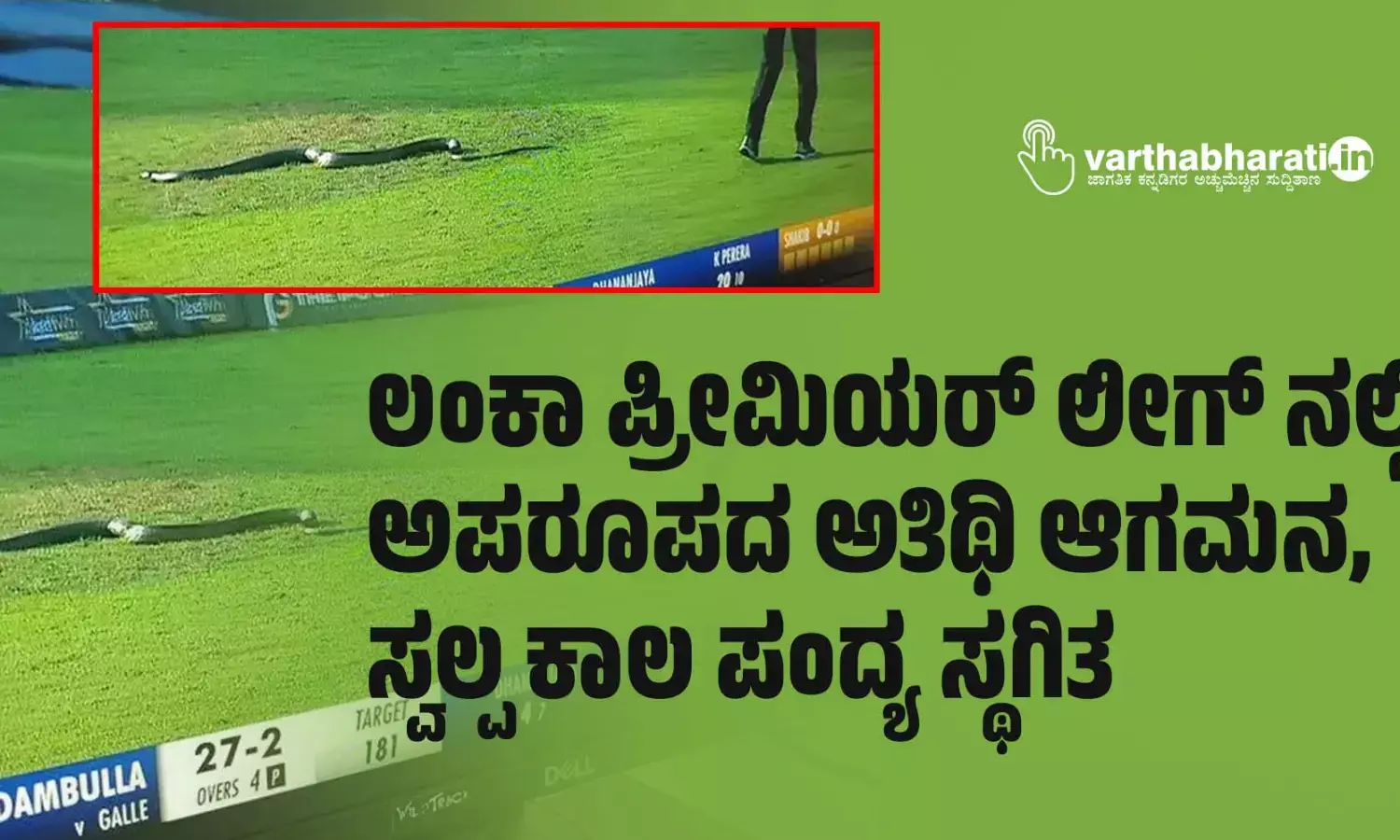 ಲಂಕಾ ಪ್ರೀಮಿಯರ್ ಲೀಗ್ ನಲ್ಲಿ ಅಪರೂಪದ ಅತಿಥಿ ಆಗಮನ, ಸ್ವಲ್ಪ ಕಾಲ ಪಂದ್ಯ ಸ್ಥಗಿತ