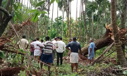 ಉಳ್ಳೂರು ಗ್ರಾಮದಲ್ಲಿ ಸುಂಟರಗಾಳಿ: ಮನೆ, ತೋಟಕ್ಕೆ ಅಪಾರ ಹಾನಿ