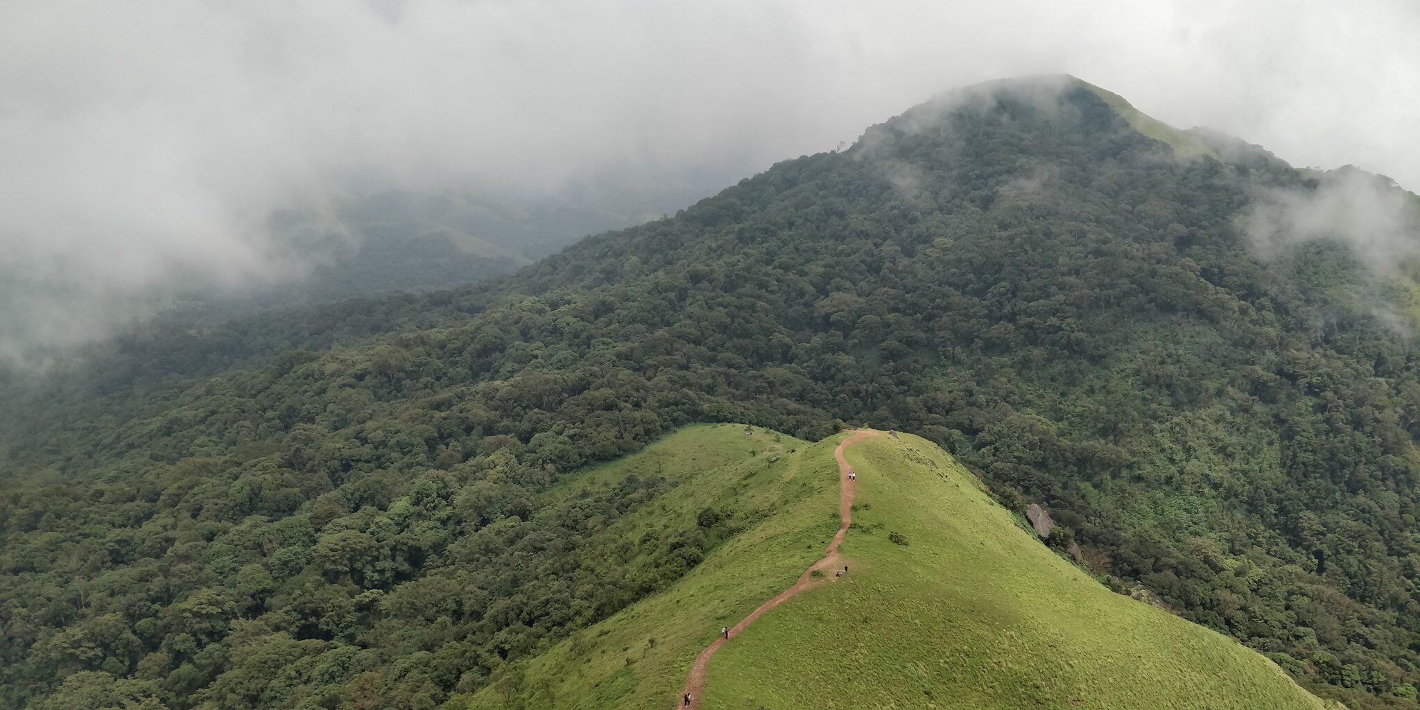 ಮೂಡಿಗೆರೆ: ಎತ್ತಿನಭುಜ ಚಾರಣಕ್ಕೆ ತಾತ್ಕಾಲಿಕ ನಿಷೇಧ
