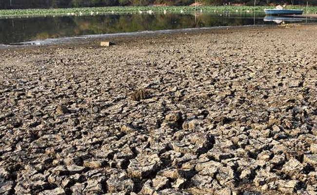 ಜುಲೈ ತಿಂಗಳಲ್ಲಿ ಭಾರಿ ಮಳೆಯ ಹೊರತಾಗಿಯೂ ಒಣಗಿದ ಸ್ಥಿತಿಯಲ್ಲಿರುವ ರಾಜ್ಯದ 478 ಕೆರೆಗಳು