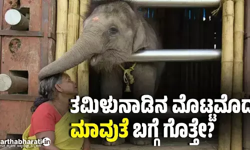 ತಮಿಳುನಾಡಿನ ಮೊಟ್ಟಮೊದಲ ಮಾವುತೆ ಬಗ್ಗೆ ಗೊತ್ತೇ?