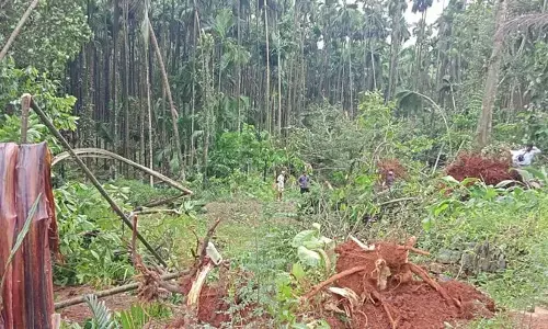 ಸುಂಟರಗಾಳಿ: ಕುಂದಾಪುರ ತಾಲೂಕಿನ 12 ಮನೆ, ತೋಟಗಳಿಗೆ ಹಾನಿ