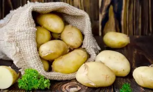 ಟೊಮೆಟೊ, ಆಲೂಗಡ್ಡೆ, ಬದನೆಕಾಯಿ ಕರುಳು ಆರೋಗ್ಯಕ್ಕೆ ಉತ್ತಮವೇ?