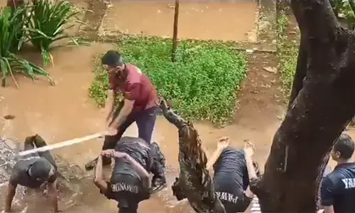 ಎನ್‍ಸಿಸಿ ವಿದ್ಯಾರ್ಥಿಗಳಿಗೆ ದೊಣ್ಣೆಯಿಂದ ಹೊಡೆದ ಹಿರಿಯ  ಕೆಡೆಟ್‍; ವೀಡಿಯೋ ವೈರಲ್