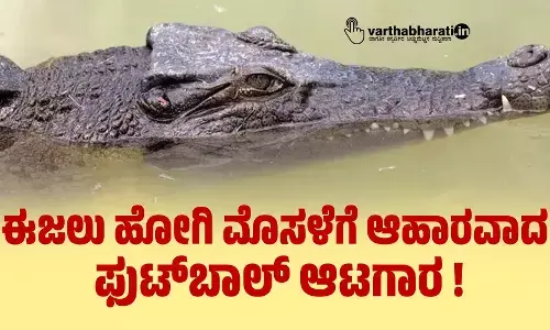ಈಜಲು ಹೋಗಿ ಮೊಸಳೆಗೆ ಆಹಾರವಾದ ಫುಟ್‌ಬಾಲ್‌ ಆಟಗಾರ !