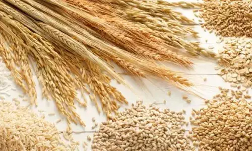 ಒಂದು ತಿಂಗಳು ಆಹಾರದಿಂದ ಗೋದಿಯನ್ನು ಹೊರಗಿಟ್ಟರೆ ದೇಹದಲ್ಲಾಗುವ ಬದಲಾವಣೆಗಳೇನು?