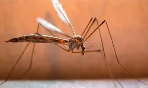 ಬಾಂಗ್ಲಾದೇಶದಲ್ಲಿ ಡೆಂಗ್ಯೂ ಜ್ವರ ಉಲ್ಪಣ: 61,500 ಮಂದಿಗೆ ಸೋಂಕು, 293 ಮಂದಿ ಮೃತ್ಯು