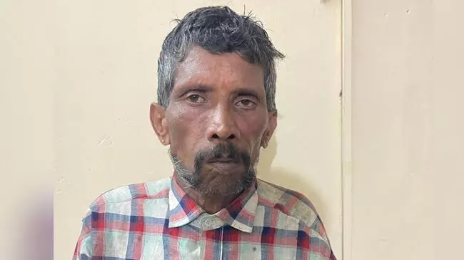 ಮಡಿಕೇರಿ: ಕಾಫಿ ತೋಟದಲ್ಲಿ ಗಾಂಜಾ ಗಿಡ ಬೆಳೆದ ಆರೋಪಿಯ ಬಂಧನ