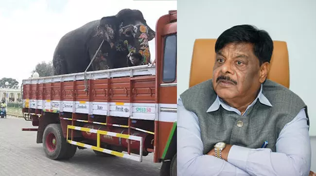 ಸೆಪ್ಟಂಬರ್‌ 1ಕ್ಕೆ ಮೈಸೂರಿಗೆ ಆಗಮಿಸಲಿವೆ ಗಜಪಡೆ; ದಸರಾ ಉದ್ಘಾಟನೆ ಮಾಡುವವರು ಯಾರು?