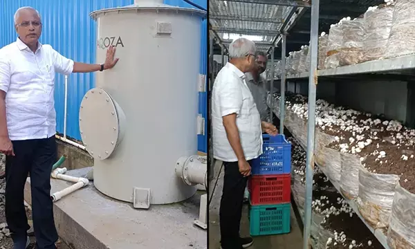 ವಾಮಂಜೂರು: ಅಣಬೆ ತಯಾರಿಕಾ ಘಟಕದಲ್ಲಿ ಯಾವುದೇ ರಾಸಾಯನಿಕವನ್ನು ಬಳಸಲಾಗುತ್ತಿಲ್ಲ: ಜೆ.ಆರ್.ಲೋಬೊ ಸ್ಪಷ್ಟನೆ