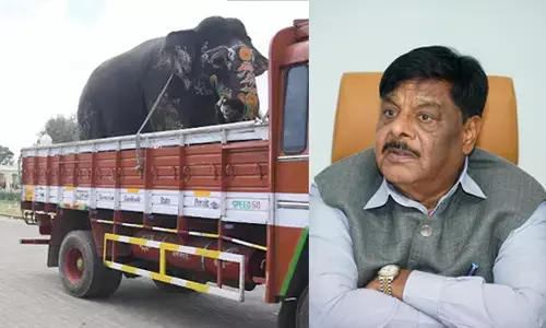 ಸೆಪ್ಟಂಬರ್‌ 1ಕ್ಕೆ ಮೈಸೂರಿಗೆ ಆಗಮಿಸಲಿವೆ ಗಜಪಡೆ; ದಸರಾ ಉದ್ಘಾಟನೆ ಮಾಡುವವರು ಯಾರು?