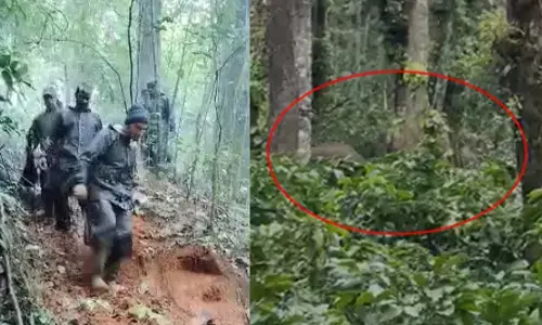 ಮೂಡಿಗೆರೆ | ಕಾರ್ಯಾಚರಣೆ ವೇಳೆ ಅಟ್ಟಿಸಿಕೊಂಡು ಬಂದ ಕಾಡಾನೆ; ಕೂದಲೆಳೆ ಅಂತರದಲ್ಲಿ ಪಾರಾದ ಅರಣ್ಯ ಅಧಿಕಾರಿಗಳು