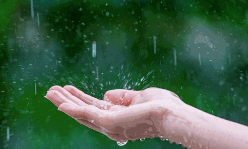 ಮಳೆಗಾಲದಲ್ಲಿ ಆರೋಗ್ಯಕರ ತ್ವಚೆ ಕಾಪಾಡಿಕೊಳ್ಳಲು ಇಲ್ಲಿದೆ ಉಪಯುಕ್ತ ಮಾಹಿತಿ