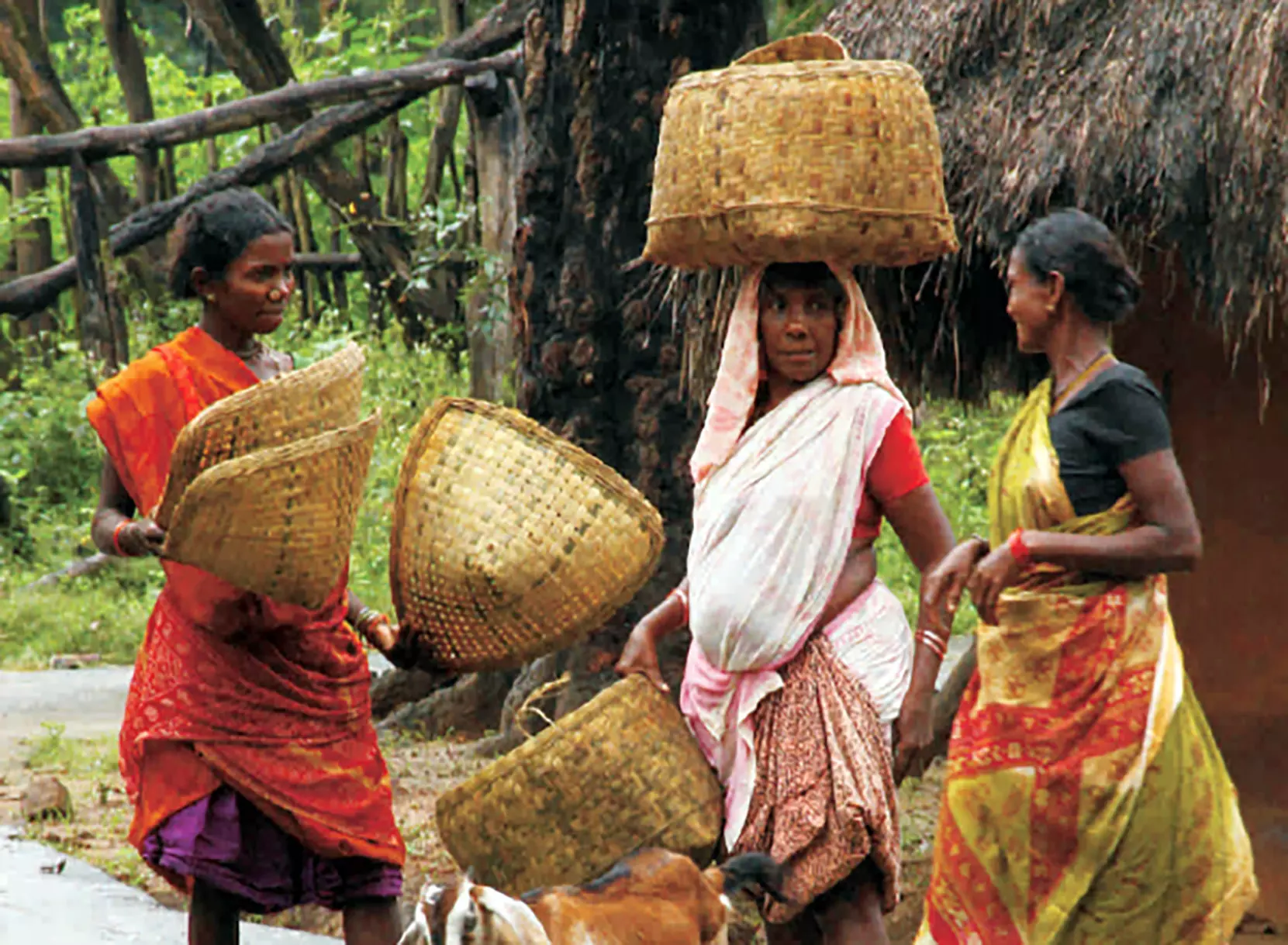 ಆದಿವಾಸಿಗಳ ಸುಸ್ಥಿರ ಅಭಿವೃದ್ಧಿ ಸಾಧ್ಯವೇ ? ಆದಿವಾಸಿಗಳ ಸುಸ್ಥಿರ ಅಭಿವೃದ್ಧಿ ಸಾಧ್ಯವೇ ?
