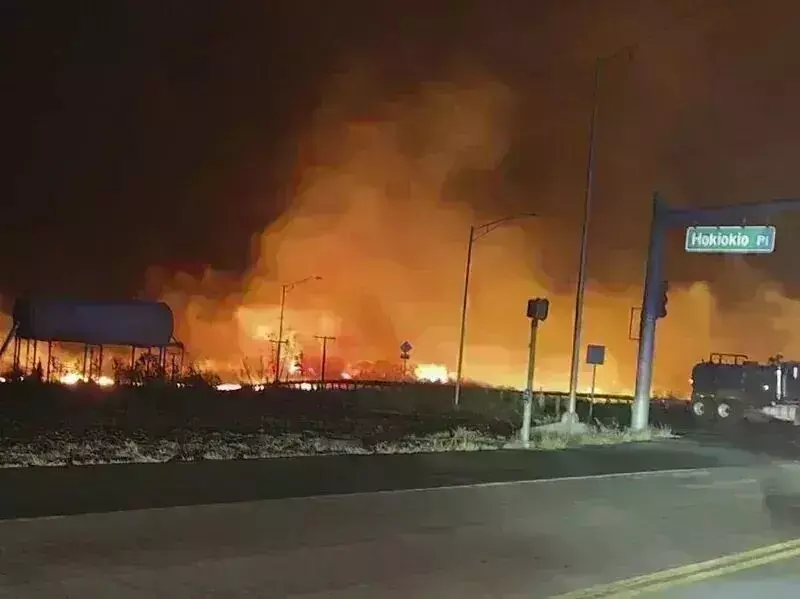 ಹವಾಯಿ: ಭೀಕರ ಕಾಡ್ಗಿಚ್ಚಿಗೆ ಕನಿಷ್ಠ 36 ಮಂದಿ ಬಲಿ ಹವಾಯಿ: ಭೀಕರ ಕಾಡ್ಗಿಚ್ಚಿಗೆ ಕನಿಷ್ಠ 36 ಮಂದಿ ಬಲಿ