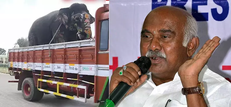 ದಸರಾ ಆನೆಗಳನ್ನು ಲಾರಿಯಲ್ಲಿ ತರುವುದು ಬೇಡ: ಎಚ್.ವಿಶ್ವನಾಥ್ ಆಕ್ಷೇಪ
