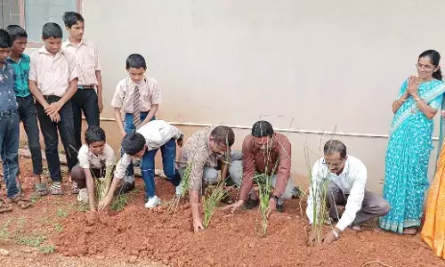 ಅಸೈ ಸರಕಾರಿ ಮುಸ್ಲಿಂ ವಸತಿಶಾಲೆಯಲ್ಲಿ ಔಷಧೀಯ ವನ ಉದ್ಘಾಟನೆ