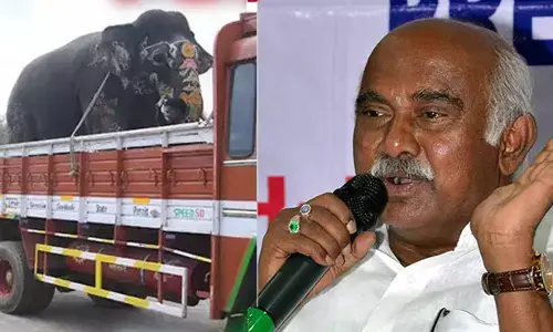 ದಸರಾ ಆನೆಗಳನ್ನು ಲಾರಿಯಲ್ಲಿ ತರುವುದು ಬೇಡ: ಎಚ್.ವಿಶ್ವನಾಥ್ ಆಕ್ಷೇಪ