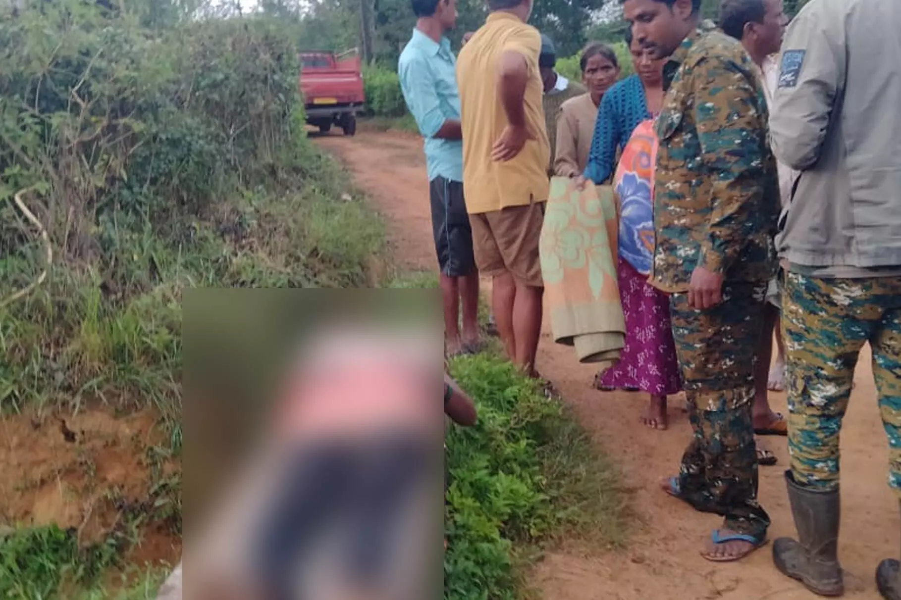 ಸಕಲೇಶಪುರ: ಕಾಡಾನೆ ದಾಳಿಗೆ ಮಹಿಳೆ ಬಲಿ