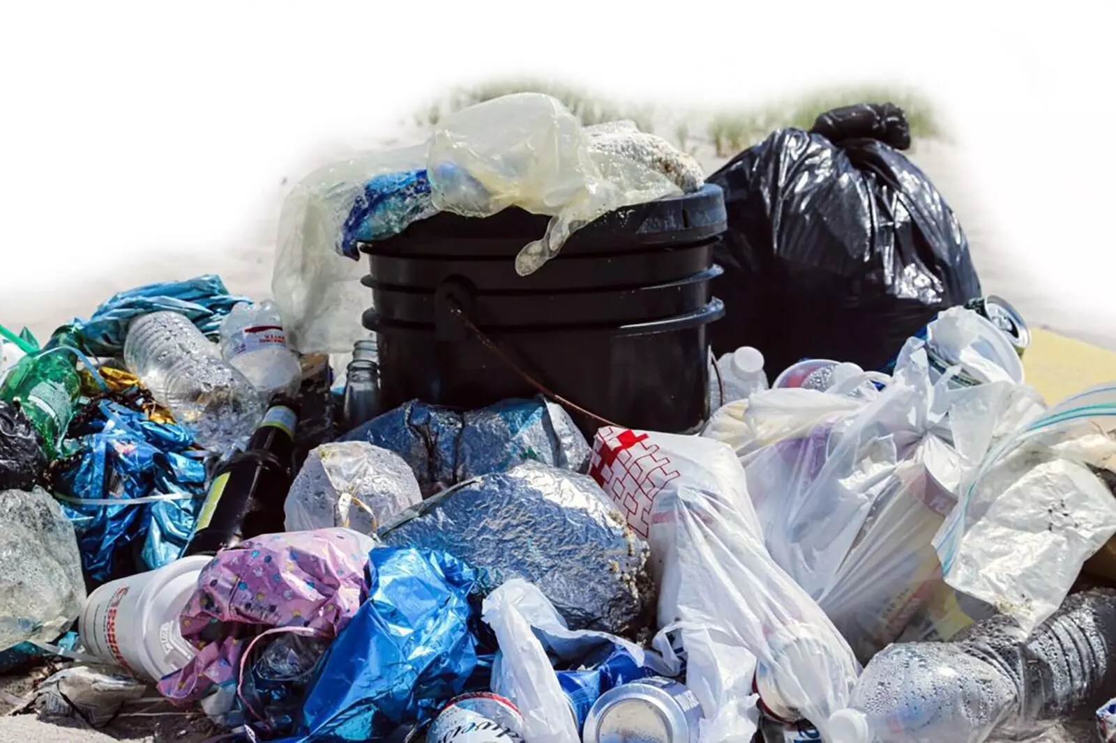 ಅತಿಯಾದ ಪ್ಲಾಸ್ಟಿಕ್ ಪ್ರೀತಿ