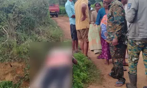 ಸಕಲೇಶಪುರ: ಕಾಡಾನೆ ದಾಳಿಗೆ ಮಹಿಳೆ ಬಲಿ