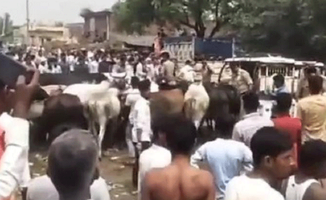 ಬಿಡಾಡಿ ದನಗಳ ಉಪಟಳ: ಉತ್ತರ ಪ್ರದೇಶ ಸಚಿವರಿಗೆ ದನಗಳಿಂದಲೇ ಮುತ್ತಿಗೆ ಹಾಕಿಸಿದ ನಾಗರಿಕರು!