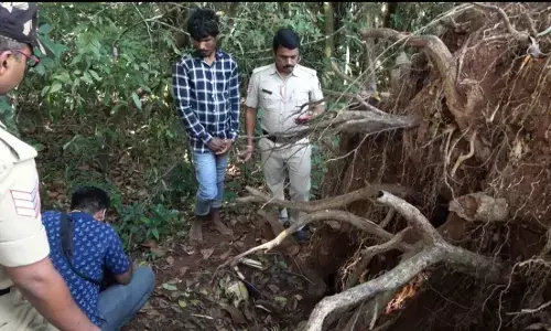 ಶೃಂಗೇರಿ  | ಮಹಿಳೆಯ ನಾಪತ್ತೆ ಪ್ರಕರಣಕ್ಕೆ ತಿರುವು: ಕೊಲೆಗೈದು ಮರದ ಕೆಳಗೆ ಹೂತು ಹಾಕಿದ್ದ ಆರೋಪಿ ಸೆರೆ