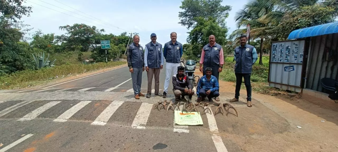 ಜಿಂಕೆ ಕೊಂಬುಗಳನ್ನು ಸಾಗಾಟ ಮಾಡುತ್ತಿದ್ದ ಇಬ್ಬರು ಆರೋಪಿಗಳ ಬಂಧನ ಜಿಂಕೆ ಕೊಂಬುಗಳನ್ನು ಸಾಗಾಟ ಮಾಡುತ್ತಿದ್ದ ಇಬ್ಬರು ಆರೋಪಿಗಳ ಬಂಧನ