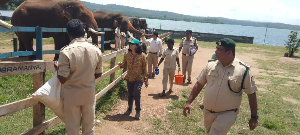 ದುಬಾರೆ, ಹಾರಂಗಿಯ ಸಾಕಾನೆ ಶಿಬಿರಕ್ಕೆ ಆನೆ ಯೋಜನೆಯ ಪ್ರಧಾನ ಮುಖ್ಯ ಅರಣ್ಯ ಸಂರಕ್ಷಣಾಧಿಕಾರಿ ಭೇಟಿ ದುಬಾರೆ, ಹಾರಂಗಿಯ ಸಾಕಾನೆ ಶಿಬಿರಕ್ಕೆ ಆನೆ ಯೋಜನೆಯ ಪ್ರಧಾನ ಮುಖ್ಯ ಅರಣ್ಯ ಸಂರಕ್ಷಣಾಧಿಕಾರಿ ಭೇಟಿ