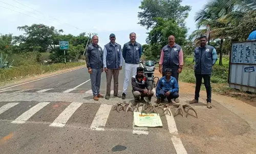 ಜಿಂಕೆ ಕೊಂಬುಗಳನ್ನು ಸಾಗಾಟ ಮಾಡುತ್ತಿದ್ದ ಇಬ್ಬರು ಆರೋಪಿಗಳ ಬಂಧನ
