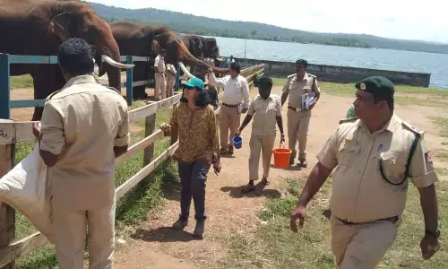 ದುಬಾರೆ, ಹಾರಂಗಿಯ ಸಾಕಾನೆ ಶಿಬಿರಕ್ಕೆ ಆನೆ ಯೋಜನೆಯ ಪ್ರಧಾನ ಮುಖ್ಯ ಅರಣ್ಯ ಸಂರಕ್ಷಣಾಧಿಕಾರಿ ಭೇಟಿ