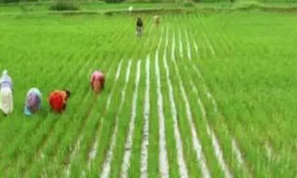 ರೈತರಿಂದಲೇ ಬೆಳೆ ಸಮೀಕ್ಷೆಗೆ ಅವಕಾಶ