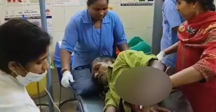 ಕಳಸ | ಕಾಡುಕೋಣ ದಾಳಿ; ವೃದ್ಧ ಗಂಭೀರ