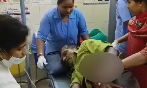 ಕಳಸ | ಕಾಡುಕೋಣ ದಾಳಿ; ವೃದ್ಧ ಗಂಭೀರ